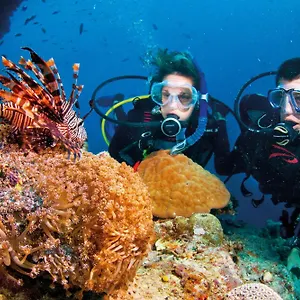 https://babylon-villa.hotelsofhoian.com